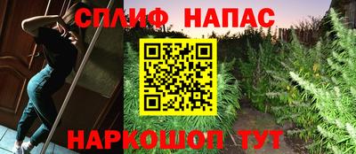 молекула духа Донской