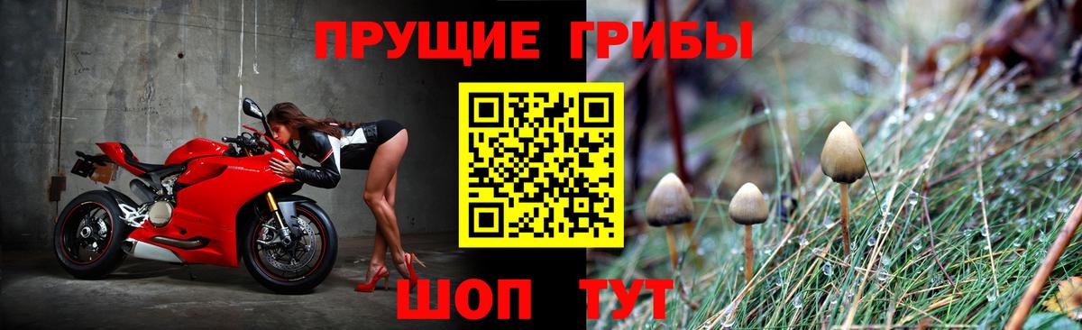 Мончегорск  Псилоцибиновые грибы GOLDEN TEACHER  Галлюциногенные грибы Cubensis  Вход с VPN 